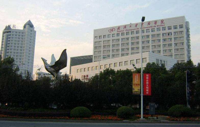 Latest company case about Zhongnan Hospital of Wuhan University